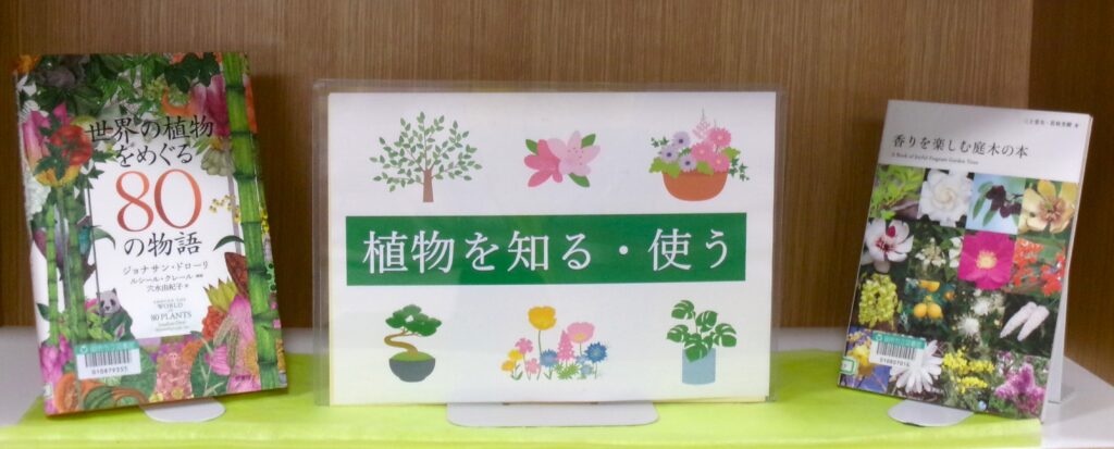 特集コーナーの写真。POPと表紙見せの本。