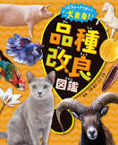 ﾋﾞﾌｫｰ ｱﾌﾀｰ ﾀﾞｲﾍﾝｼﾝ ﾋﾝｼｭ ｶｲﾘｮｳ ｽﾞｶﾝ