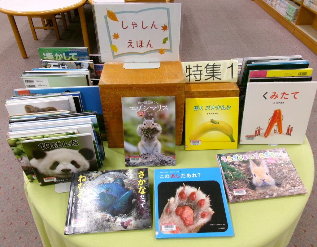 特集コーナーの画像。「10ぱんだ」「さかなだってねむるんです」「このあしだあれ？」などの本が並んでいる。